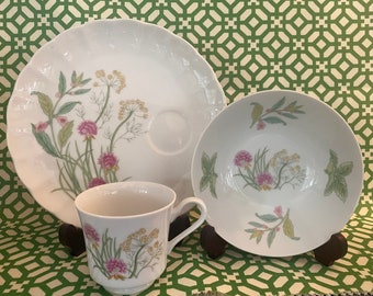 Vintage Shafford Botanical “Herb & Spice” Dandelion Clover Mint Plate,cup,bowls