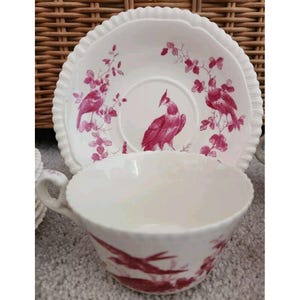 May include: A white teacup and saucer with a pink floral pattern and pink birds. The saucer has a scalloped edge.