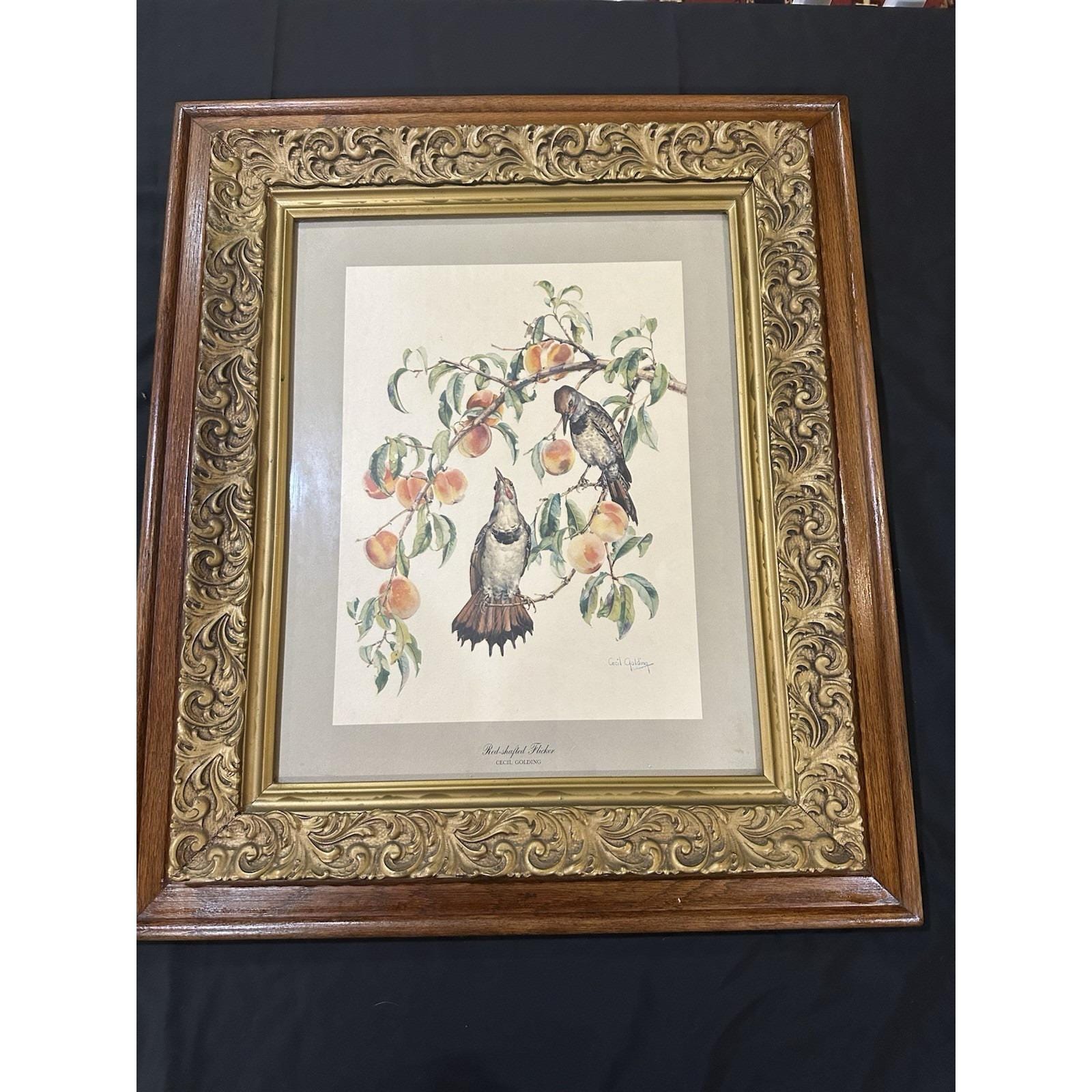 セシル・ゴールディング（Cecil Golding）プリントアート 2点セット CECIL GOLDING BIRD PRINTS NEW YORK GRAPHIC SOCIETY, 1940