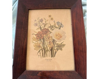 Antique Solid Wood Frame With Botanical Print Loudon Florals 1783-1843