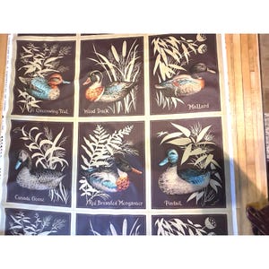 May include: Fabric panel featuring illustrations of various duck species, including Greenwing Teal, Wood Duck, and Mallard. Each duck is depicted with detailed plumage and set against a dark background with botanical elements. The names of the ducks are printed below each image.