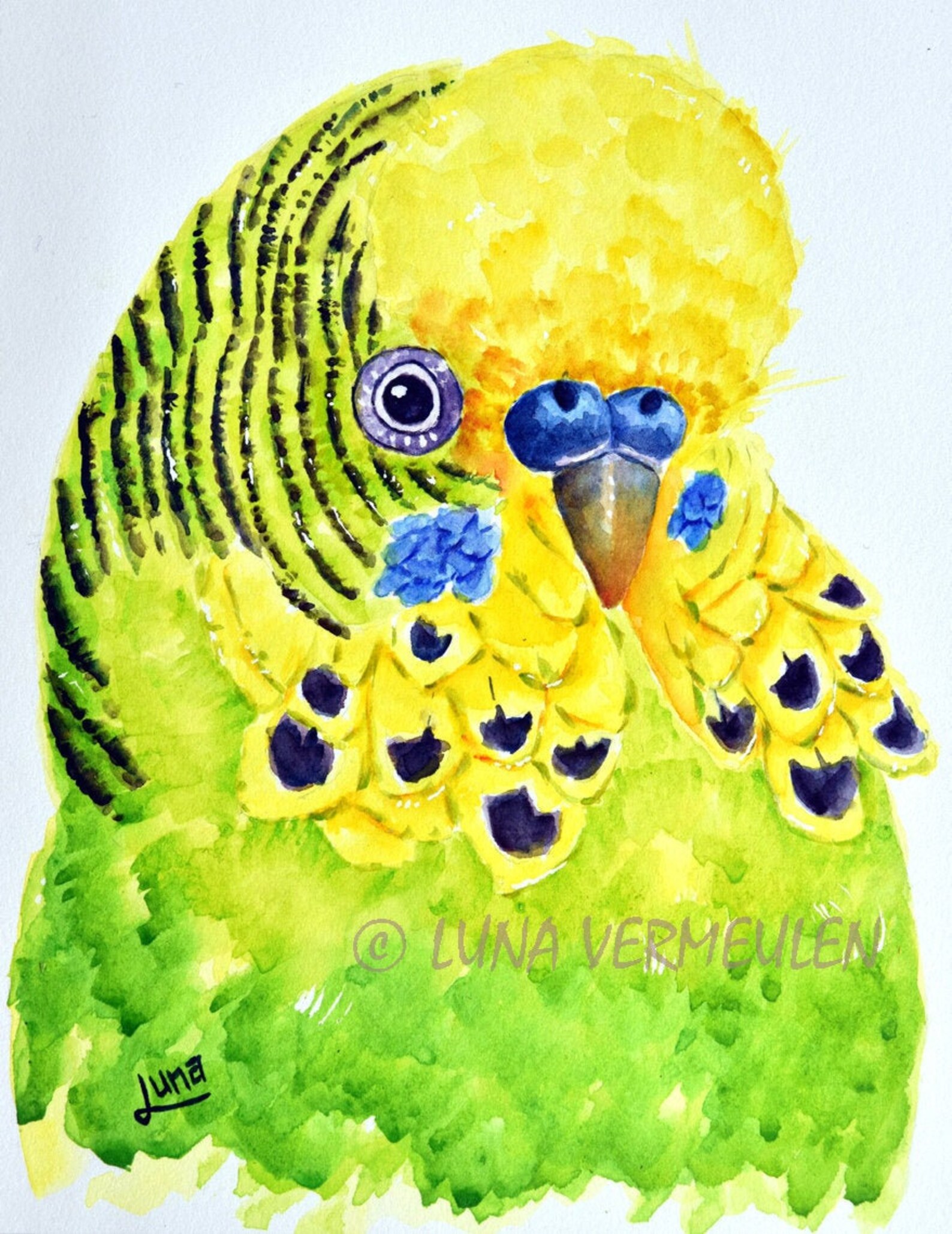 Watercolour Painting Pickles Art Etsy De Watercolour Painting Pickles Art Etsy De