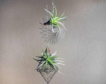 Air Plant Holder, 2 pieces stainless steel metal art, Metal Decor, window decor