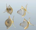 Gold fish kinetic mobile 4 or 6 piece, Brass fish Decor, modern Mobile, fishing gift, wire art kinetic Sculpture product logo