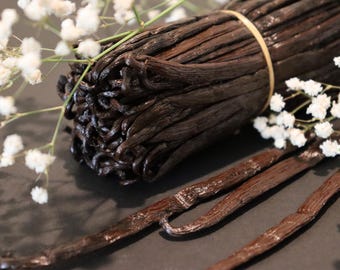 40 ORGANIC Madagascar Extract Grade Bourbon Vanilla Beans