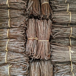 May include: A close-up view of bundles of dried vanilla beans tied together with twine. The beans are arranged in rows and stacked high, creating a textured and visually appealing display.
