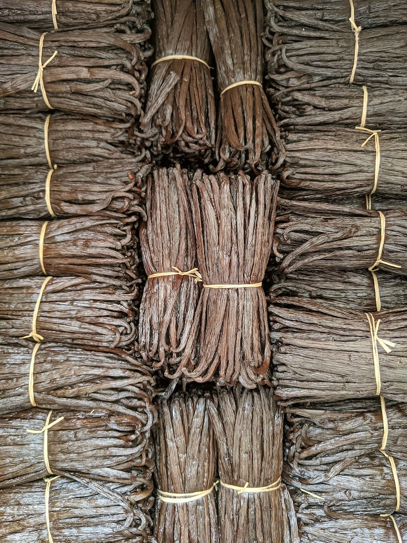 May include: A close-up view of bundles of dried vanilla beans tied together with twine. The beans are arranged in rows and stacked high, creating a textured and visually appealing display.