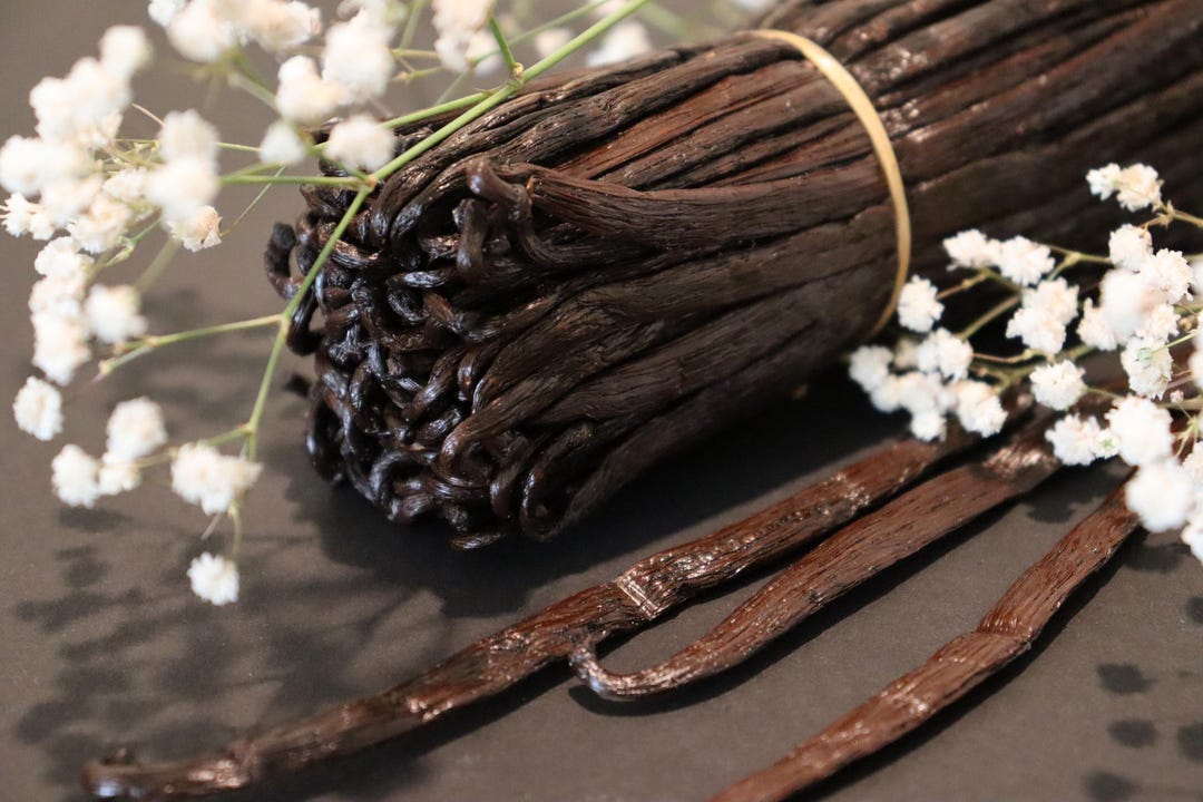50 Madagascar Vanilla Beans Extract Grade B - Etsy