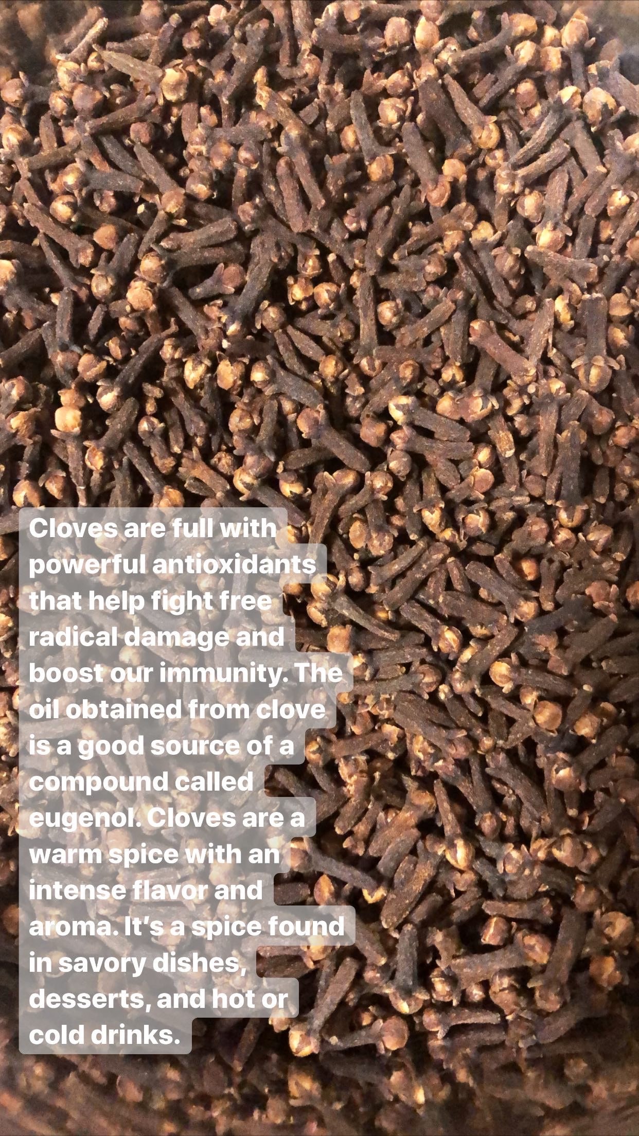 500 Organic Cloves From Zanzibar Etsy