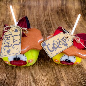 May include: Two handmade felt apple decorations with brown felt tops and yellow felt bottoms. The apples have black eyes, red mouths, and brown felt stems. Each apple has a brown paper tag tied with twine. The tags read "Lil Tart" and "Goldie".
