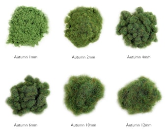 WWS Autumn Static Grass | Choose Size and Length | Model Scenery Material