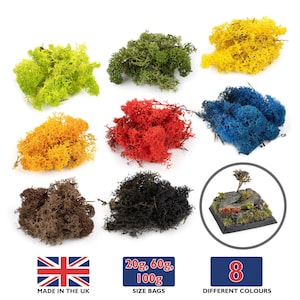 May include: Eight different colours of artificial moss for model railway, miniature landscaping, and craft projects. The moss comes in 20g, 60g, and 100g bags.