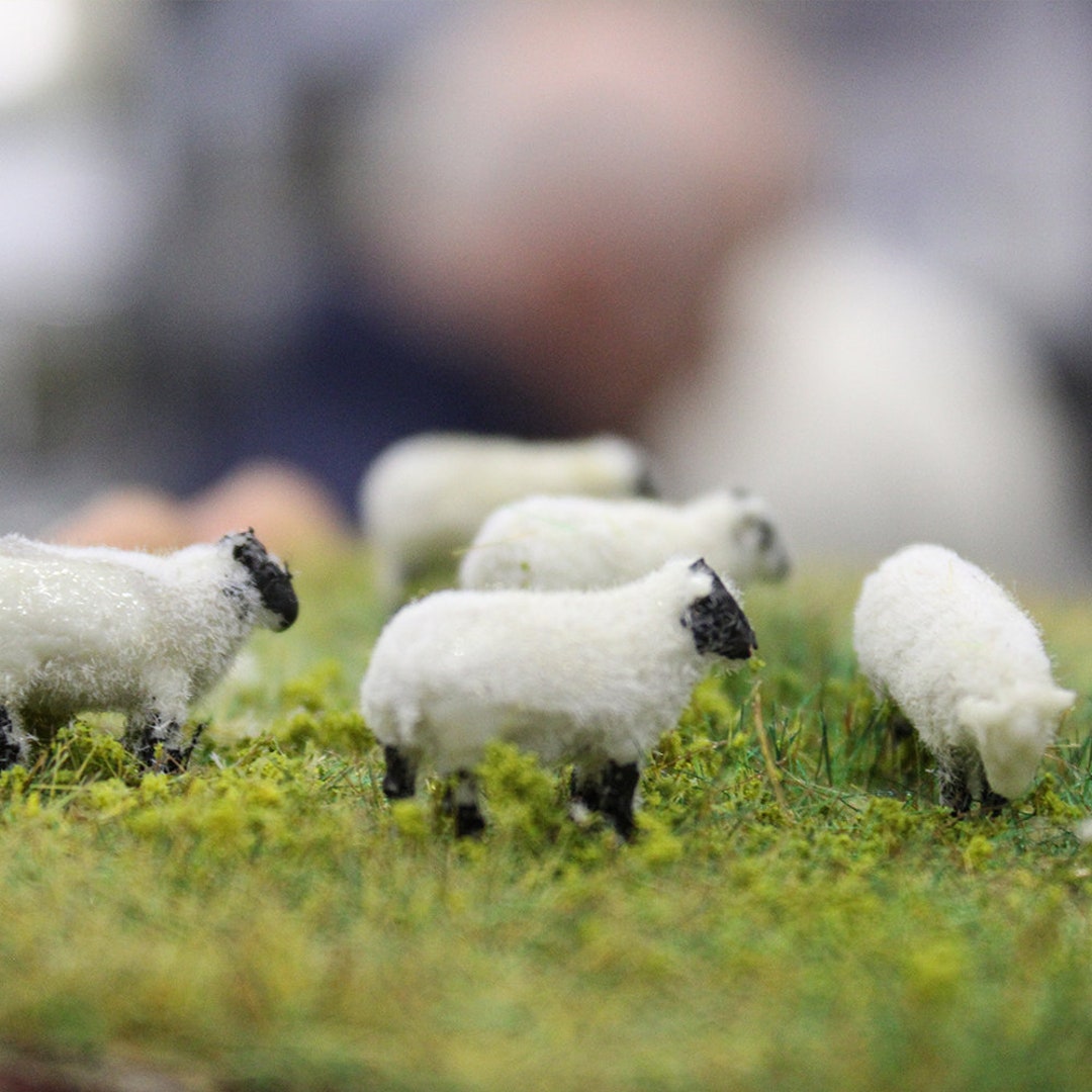 oo gauge sheep