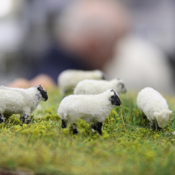 OO Gauge Sheep Flocking Kit