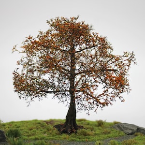 Könnte beinhalten: Ein Miniaturmodell eines Baumes mit braunen Ästen und orangefarbenen und grünen Blättern. Der Baum steht auf einem Bett aus grünem Gras.