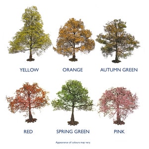Op de afbeelding: Zes bomen met verschillende gekleurde bladeren, waaronder geel, oranje, herfstgroen, rood, lentegroen en roze. De bomen zijn geïsoleerd tegen een witte achtergrond.