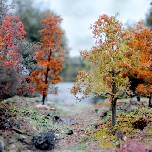 Realistic Model Tree Making Kit: Seasonal Diorama Scenery