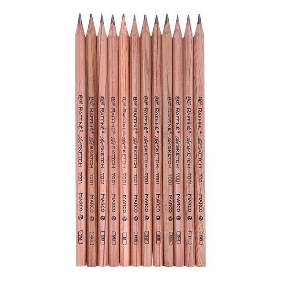 Artist Sketch Drawing Pencils Set 9B to 3H for Artists Beginner Sketching  3H-9B 