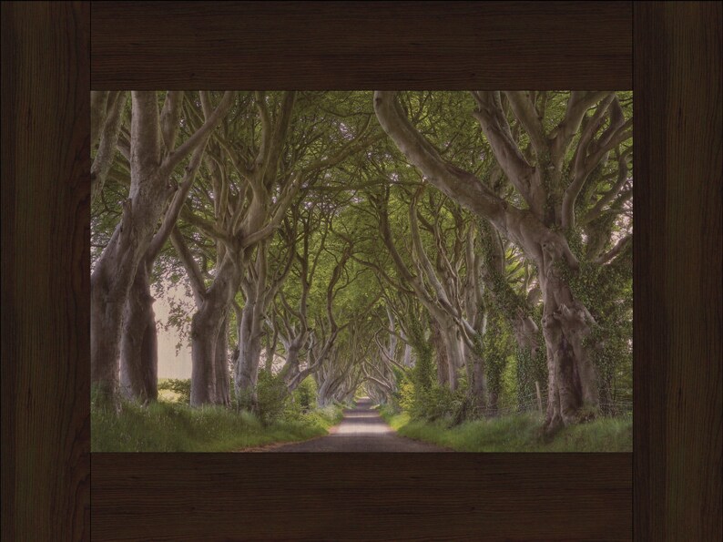 Concealed Gun Storage Art Tangled Tree Trail Gun Storage Etsy