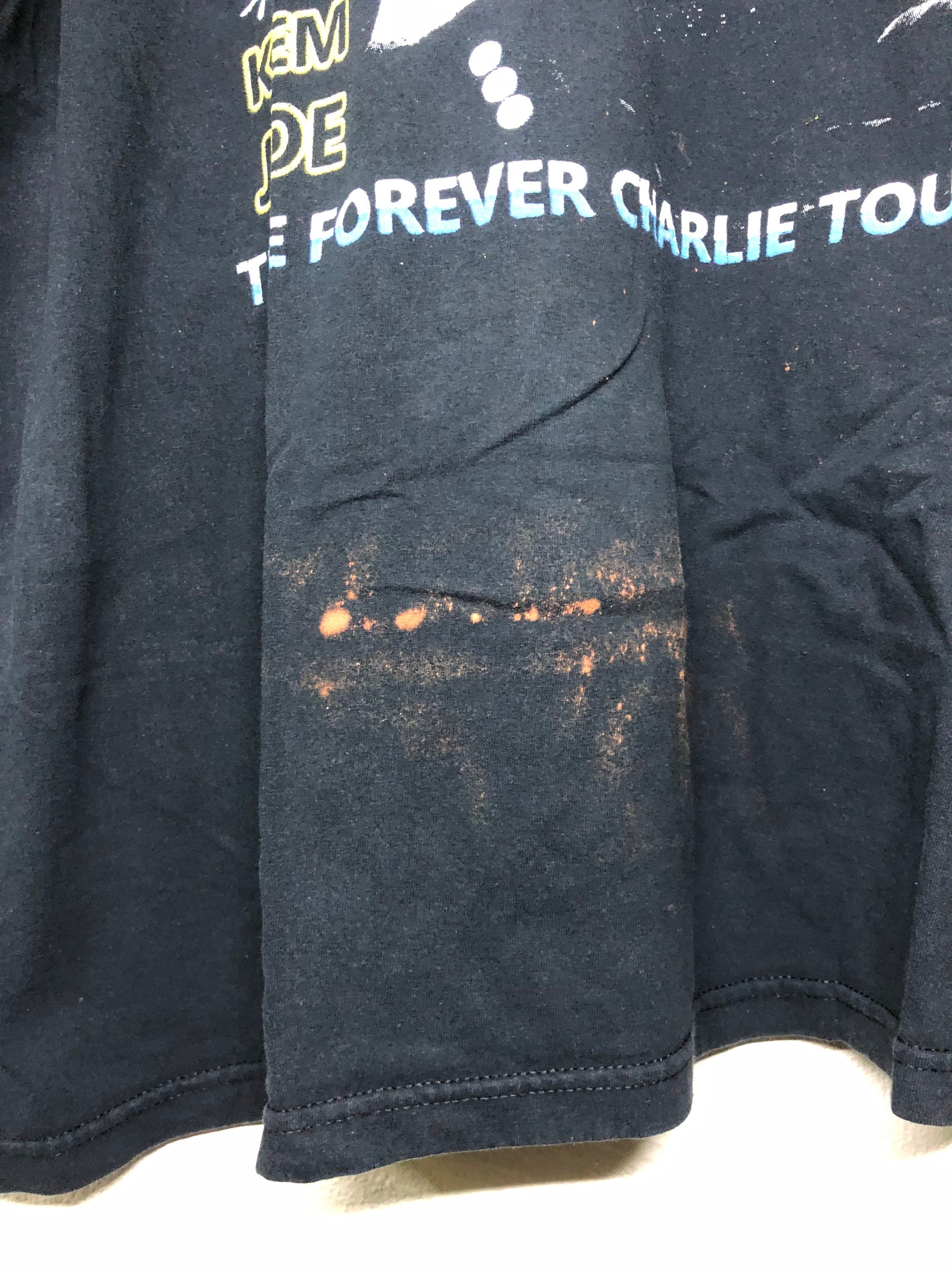 Vintage Charlie Wilson the Forever Charlie Tour Concert T