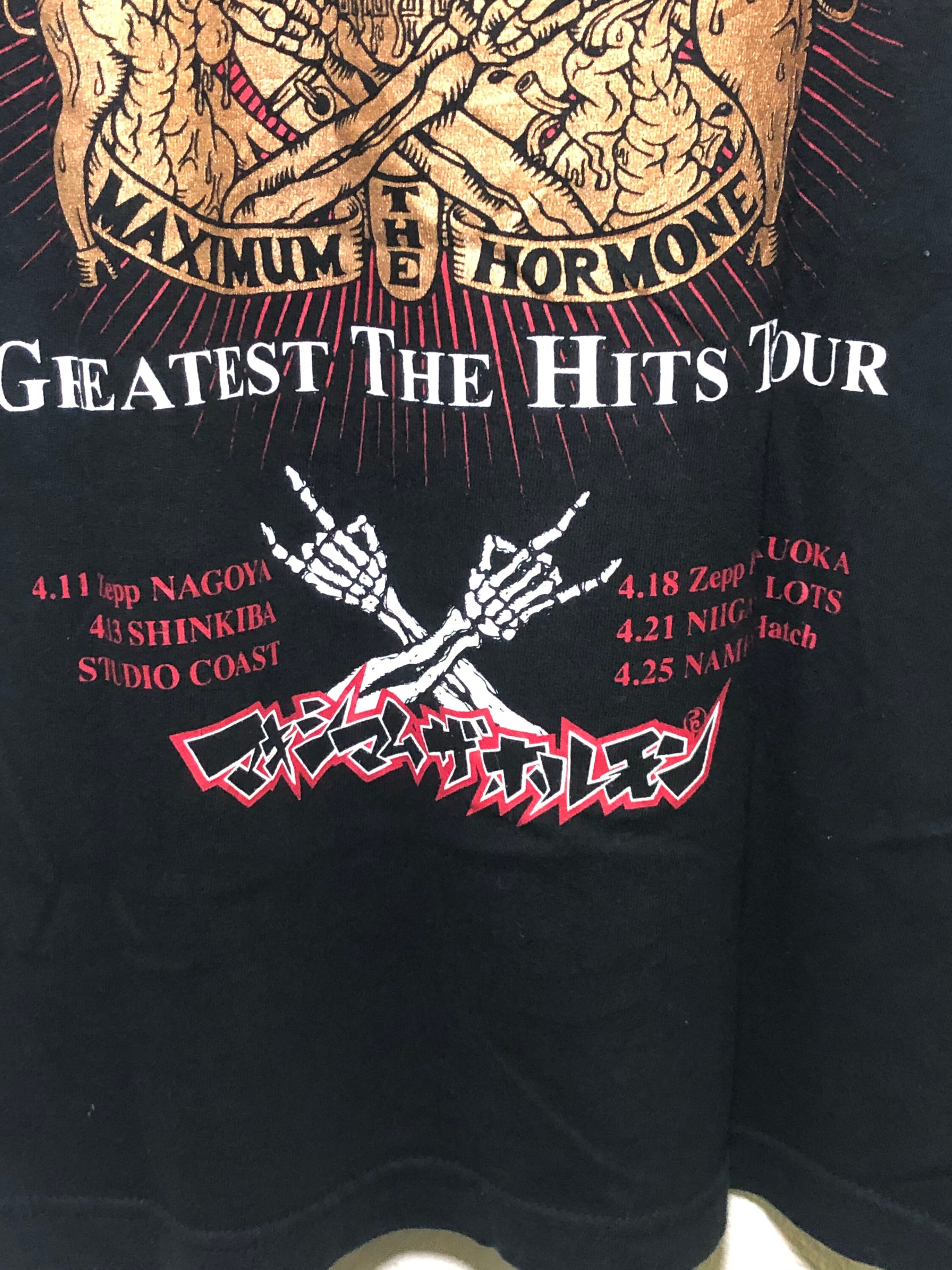Rare Maximum the Hormone the Greatest the Hits Tour Promo Concert