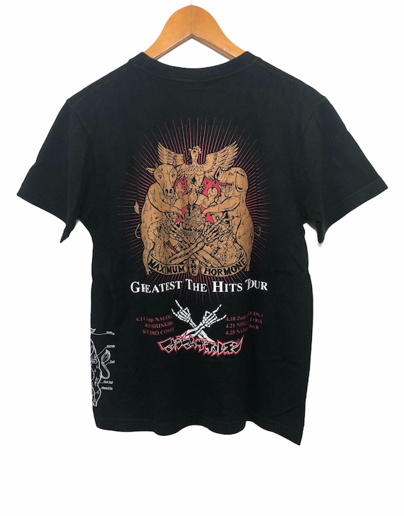 Rare Maximum the Hormone the Greatest the Hits Tour Promo Concert