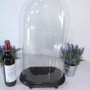 Può includere: Una campana di vetro trasparente con una base in legno scuro, ideale per esporre oggetti da collezione. Una bottiglia di vino rosso e una piccola pianta in vaso con fiori viola sono su entrambi i lati della campana. La campana è un oggetto decorativo.