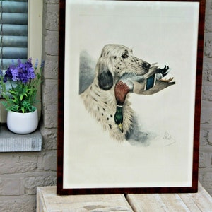 Boris riab engraving hand coloured english hunting dog duck signed