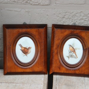 Pair vintage french limoges porcelain medaillon plaques birds framed