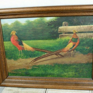 Antique flemish oil canvas painting 2 pheasant bird male animals
