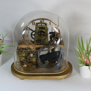 May include: An antique clock with a gold-coloured frame and intricate internal mechanisms is encased in a clear glass dome. The clock sits on a gold-coloured base. Two small potted plants with pink flowers and green leaves flank the clock.