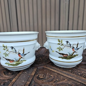 Puede incluir: Dos maceteros de cerámica blanca con ilustraciones pintadas a mano de varios pájaros posados en ramas. Cada macetero tiene un borde dorado, una parte superior acampanada y asas decorativas con forma de cabeza de león en los laterales.