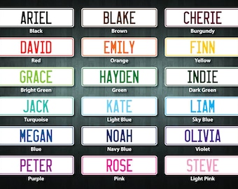 Full Size Euro Style License Plate (choose your text, color etc)