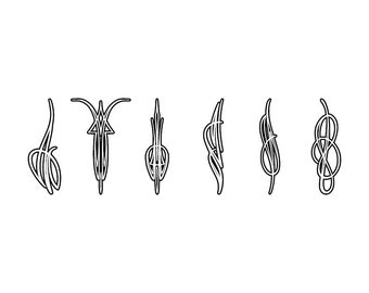 Outlined Pinstriping - Download Digital Clipart Silhouette Vector Files