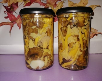 Pickled Craterellus lutescens