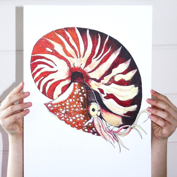 Nautilus-Druck / Nautilus Poster / Kindergarten Animal Print / Kinder Wand Kunst nautischen Print / Tier Illustration / A4-A3 / Leben im Meer / Strand