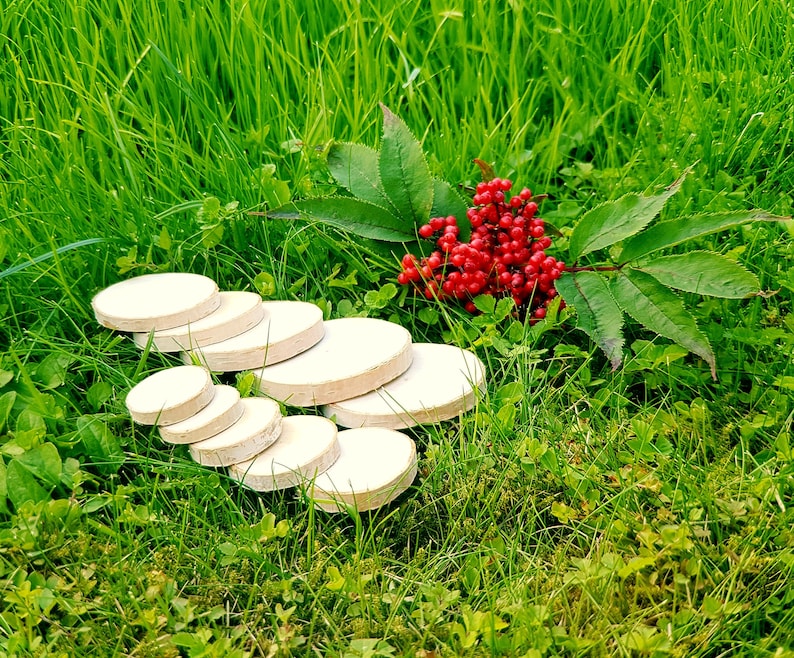 rustic decor rustic home decor wood rounds 1 till 4 inches wooden slices 10 Quality sanded Birch wood slices 3 till 8 cm
