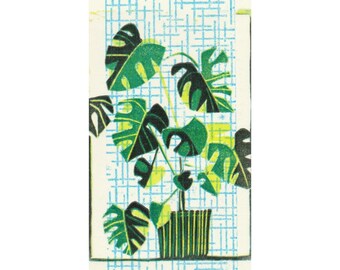 May include: A green and yellow monstera plant in a striped pot against a blue and white checkered background.