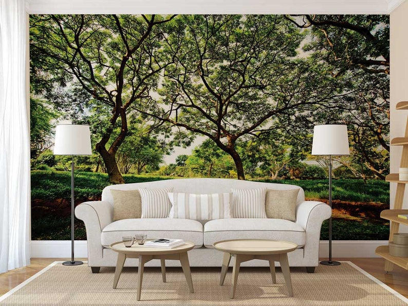 Wall Mural Woods Woods Wall Decal Forest Wall Mural Etsy