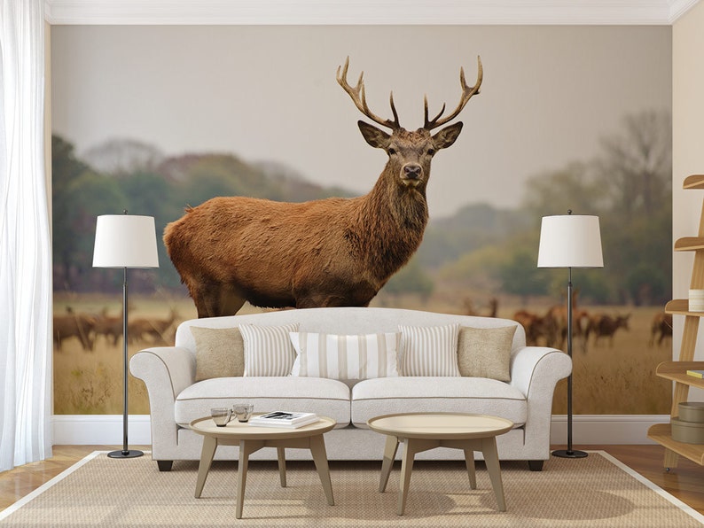 The deer wall mural self adhesive photo mural peel and stick Etsy