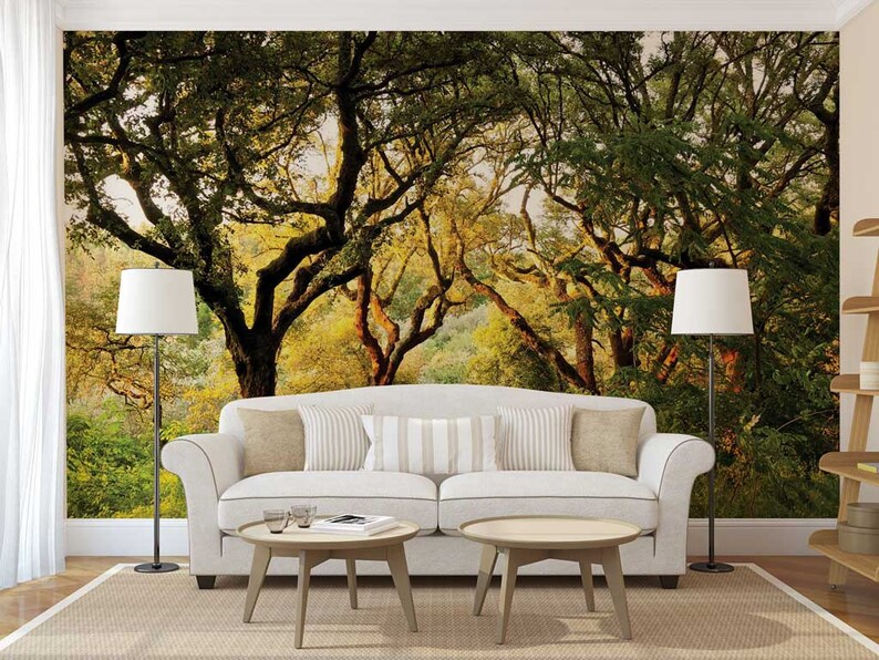 Wall Mural Woods Trees Wall Mural Woods Wall Mural Etsy