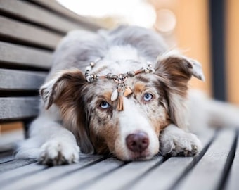 EM-Keramik Kette *Gipsymee* Chichi Ivory No. 1 - edles Tau Schmuckhalsband für Hunde - Taupe und Rosegold