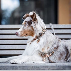 Dog collar Vagabond Chichi Ivory made of rope and leather color taupe and mother of pearl details available in silver, gold or rose gold image 10