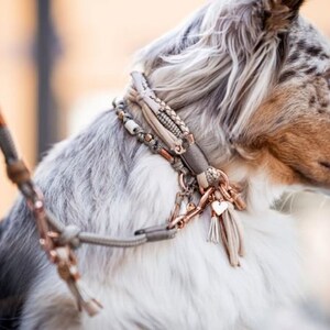 Dog collar Vagabond Chichi Ivory made of rope and leather color taupe and mother of pearl details available in silver, gold or rose gold image 6