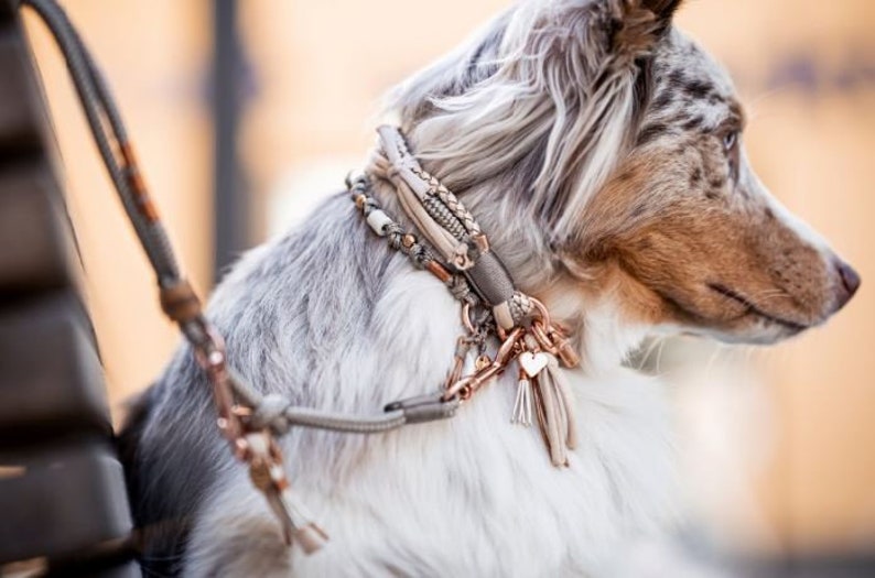 Dog collar Vagabond Chichi Ivory made of rope and leather color taupe and mother of pearl details available in silver, gold or rose gold image 6