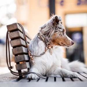 Dog collar Vagabond Izzy Pearl made of hand-dyed cotton rope and leather details in silver, gold or rose gold image 5