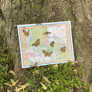 Monarch Migratie -- Butterfly Map Art -- Mixed Medium -- Papierkunst