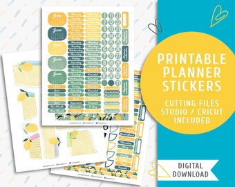 Vintage Lemon Planner Stickers. Printable Monthly Planner Sticker Kit. Lemon and Torn Paper Stickers. June Sticker Kit / SK-0024