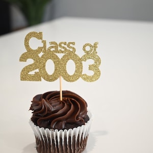 Class of 2003 Cupcake Toppers- Celebrate Your 20th Reunion in Style!  Set of 12, Pick Your Choice of Colors