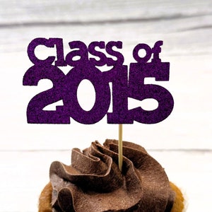 Class of 2015 Cupcake toppers 10th Class Reunion Set of 12 Pick Your Color